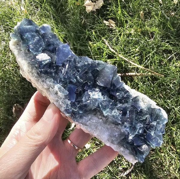 Full-length view of a 352g Madagascar Fluorite cluster being held to show its 4.75-inch scale, featuring natural blue-green cubic crystals on a white quartz matrix.