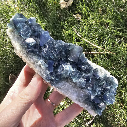 Full-length view of a 352g Madagascar Fluorite cluster being held to show its 4.75-inch scale, featuring natural blue-green cubic crystals on a white quartz matrix.