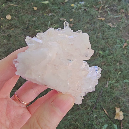 Colombian Pink Lemurian Seed Quartz Cluster 95g