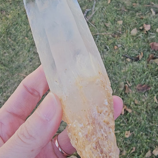 A video showcase of a 5.5-inch Colombian Golden Healer crystal, rotating to highlight the shimmering golden surface and the deep 'Blue Smoke', Cookeite inclusions within. The video captures the intricate DNA Lemurian etchings on the facets and the ethereal 'Blue Mist' interior, emphasizing its 170g size and Master Healer quality in natural sunlight.