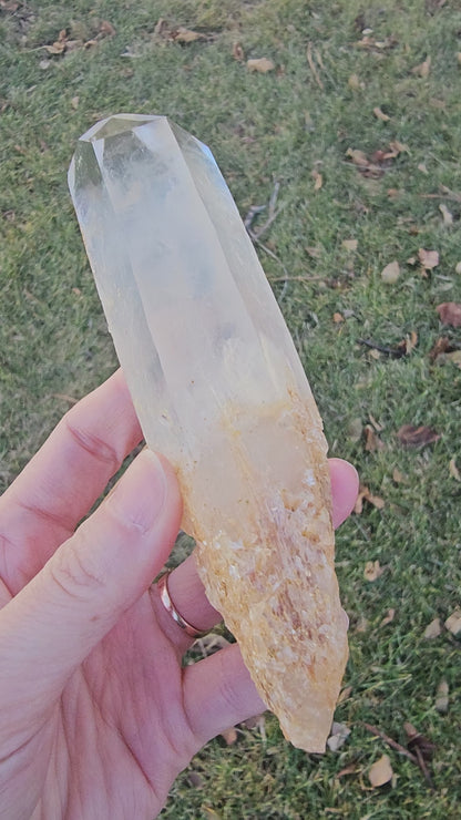 A video showcase of a 5.5-inch Colombian Golden Healer crystal, rotating to highlight the shimmering golden surface and the deep 'Blue Smoke', Cookeite inclusions within. The video captures the intricate DNA Lemurian etchings on the facets and the ethereal 'Blue Mist' interior, emphasizing its 170g size and Master Healer quality in natural sunlight.