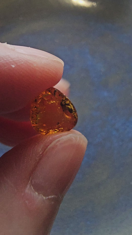 Genuine Baltic Amber with Fossilized Insect from Poland